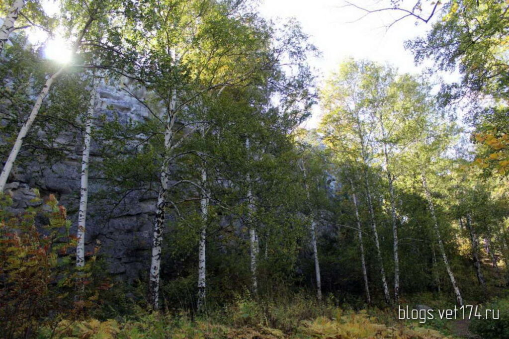 Аракульский шихан